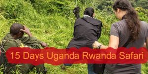 15 Days Uganda Rwanda Safari