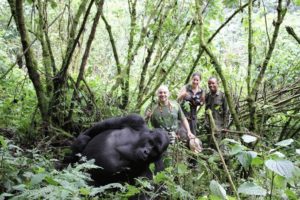 Mountain Gorillas of Bwindi Forest
